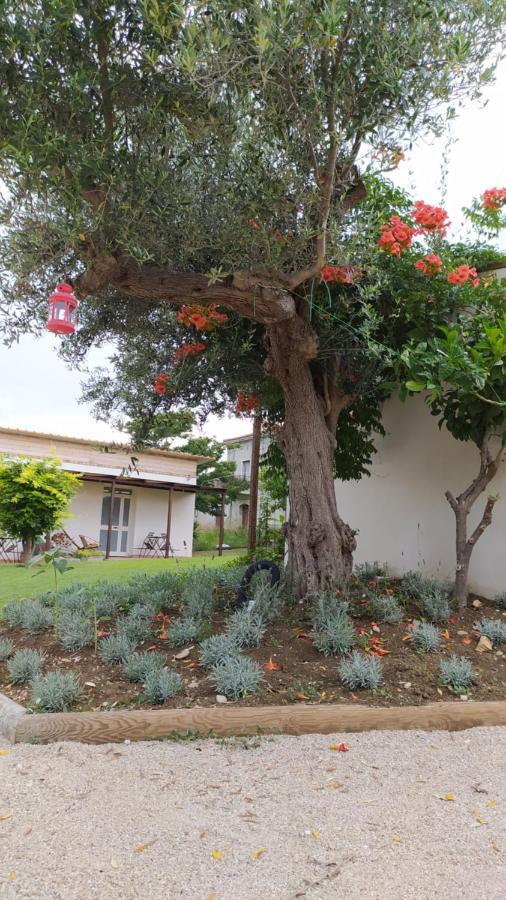 Willa Relais Il Giardino Fra Gli Ulivi Torino di Sangro Zewnętrze zdjęcie