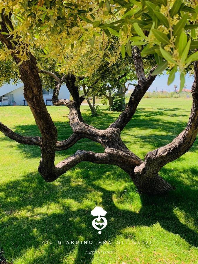 Willa Relais Il Giardino Fra Gli Ulivi Torino di Sangro Zewnętrze zdjęcie