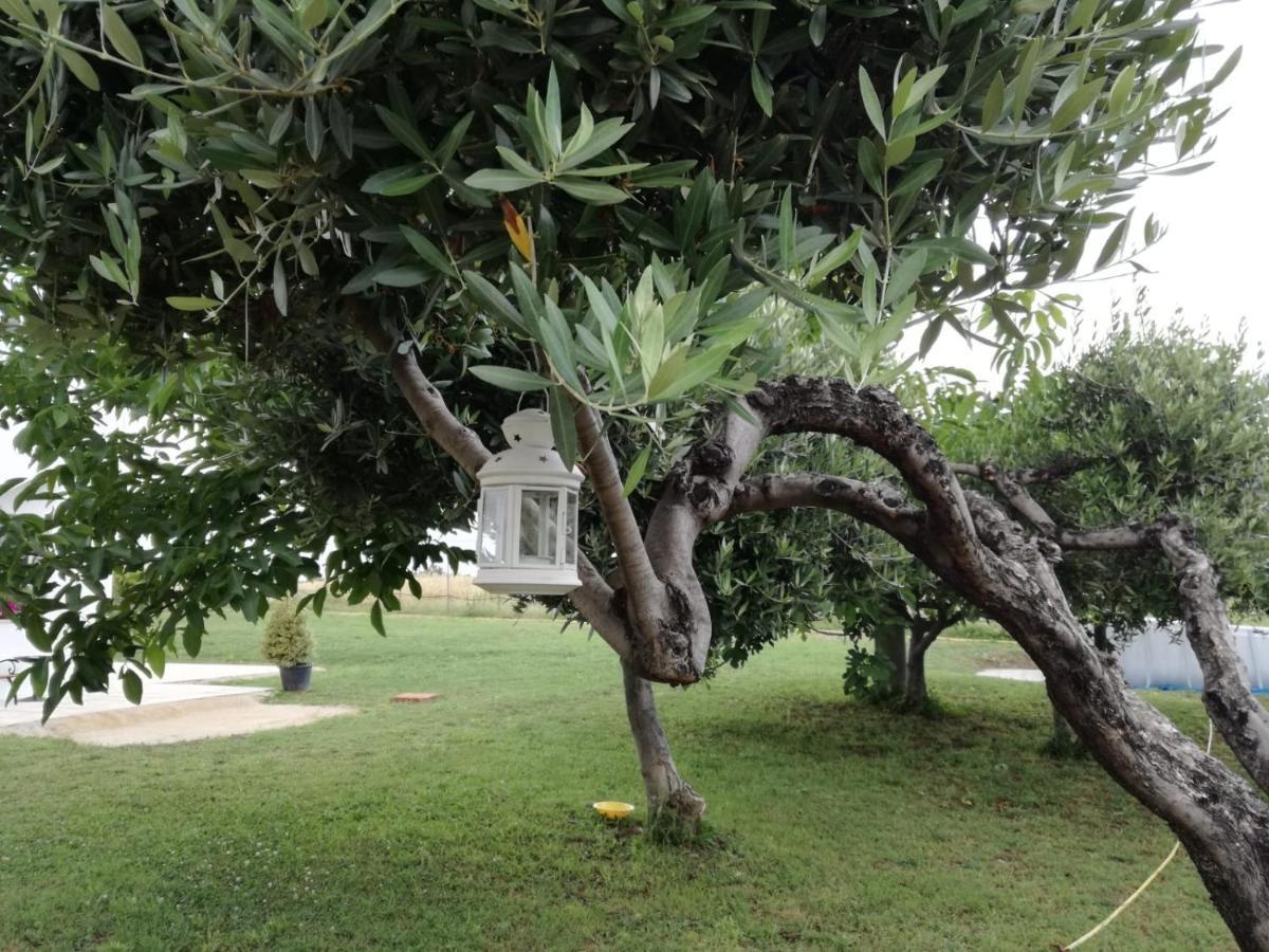 Willa Relais Il Giardino Fra Gli Ulivi Torino di Sangro Zewnętrze zdjęcie